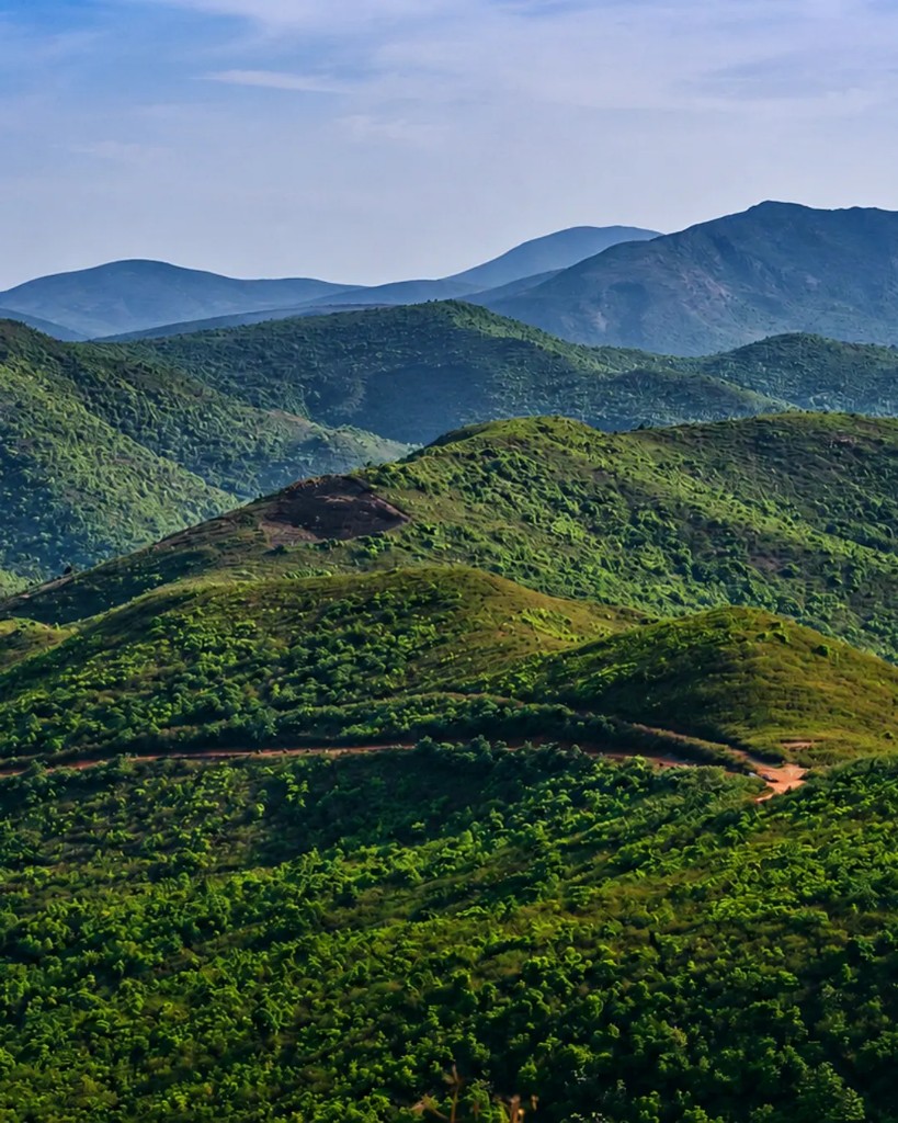 Green ridges of Deomali Hills under a clear sky