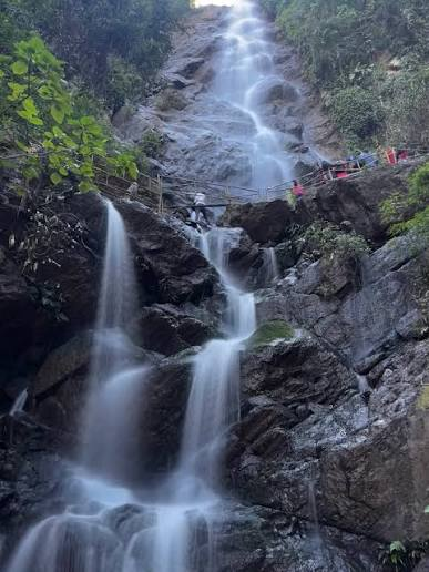 Katiki Waterfalls cascading over dark rock through the forest