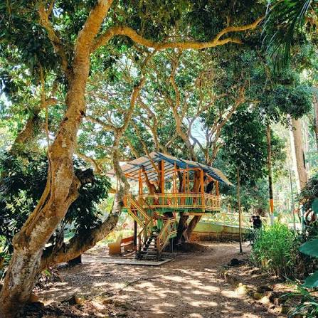 Treehouse among the trees at Padmapuram Gardens